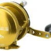 Avet HXJ 5/2 Two-Speed Lever Drag Casting Reel Gold -Fishing Master avet hxj 52 two speed lever drag casting reel ave 0095 1 96314.1650775742.386.513