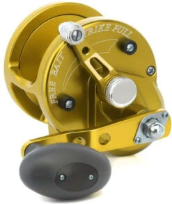 Avet JX 4.6 MC Single Speed Lever Drag Casting Reel Gold