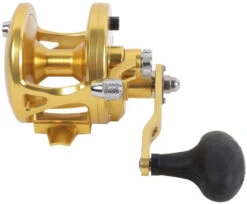 Avet JX 6.0 G2 1 Speed Reel - Gold (No Glide Plate) -Fishing Master avet jx 6 0 g2 rh gd ngp reel 28669.1670274062