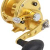 Avet JX 6.0 G2 1 Speed Reel - Gold (No Glide Plate) -Fishing Master avet jx 6 0 g2 rh gd ngp reel 91437.1670274062
