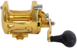 Avet LX 6.0 G2 1 Speed Reel - Gold (No Glide Plate) -Fishing Master avet lx 6 0 g2 rh gd ngp reel 89389.1651417661