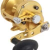 Avet MXL 5.8 G2 1 Speed Reel - Gold (No Glide Plate) -Fishing Master avet mxl 5 8 g2 rh gd ngp reel 42852.1651417679
