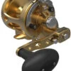 Avet MXL G2 6/4 MC 2-Speed Reel Gold -Fishing Master avet mxl g2 6 4 mc 2 speed reel ave 0533 1 48397.1650991976.386.513