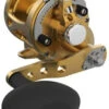 Avet SX G2 5.3 MC Single Speed Reel Gold -Fishing Master avet sx g2 5 3 mc single speed reel ave 0523 1 28776.1670337321.386.513