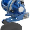 Avet SX G2 5.3 MC Single Speed Reel Blue 2 Avet SX G2 5.3 MC Single Speed Reel Blue -Fishing Master avet sx g2 5 3 mc single speed reel ave 0523 3 82162.1670337319.386.513