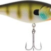 Berkley Flicker Shad Shallow 2 Berkley Flicker Shad Shallow -Fishing Master berkley flicker shad shallow 33642.1651190031.386.513