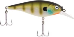 Berkley Flicker Shad Shallow