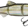 CTF Lures LiveWire Swimbait 6.5 1 CTF Lures LiveWire Swimbait 6.5 -Fishing Master ctf lures livewire swimbait 6 5 42280.1651100510