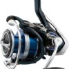 Daiwa Legalis LT Spinning Reels 1 Daiwa Legalis LT Spinning Reels -Fishing Master daiwa legalis lt spinning reels 00000.1651112550