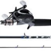 Daiwa ProCaster 80 Baitcasting Combos -Fishing Master daiwa procaster 80 baitcasting combo 61118.1651233983.386.513