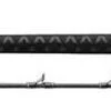 Daiwa Proteus Boat Conventional Rods -Fishing Master daiwa proteus boat conventional rods 19280.1650807705