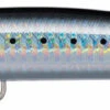 Daiwa Salt Pro Minnow Bullet 1 Daiwa Salt Pro Minnow Bullet -Fishing Master daiwa salt pro minnow bullet 32084.1651257307