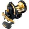 Daiwa Sealine-X HA/SHA Series Reels -Fishing Master daiwa sealine x ha sha reel 12735.1650807999