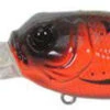 Duckett Fishing BD Sculpo XD Crankbait - Red Craw -Fishing Master duckett fishing mxsxd rc bd sculpo xd crankbait 27615.1651410924.386.513