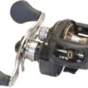 Lews BB1 Speed Spool Baitcast Reels -Fishing Master lews bb1 speed spool baitcast reels 41034.1651112277.386.513