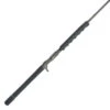 Penn Carnage III Conventional Jig Rods -Fishing Master penn carnage iii conventional jig rods 87601.1665204485.386.513