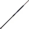 Penn Squadron III Surf Spinning Rods -Fishing Master penn squadron iii surf spinning rods 00508.1681843374
