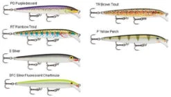 Rapala Scatter Rap Minnow Lures -Fishing Master rapala scatter rap minnow lures 31482.1651080789