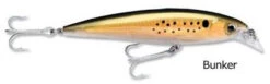 Rapala X-Rap Saltwater 10 Rapala X-Rap Saltwater -Fishing Master rapala x rap saltwater jerkbait 11878.1651154042