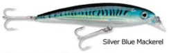 Rapala X-Rap Saltwater 9 Rapala X-Rap Saltwater -Fishing Master rapala x rap saltwater jerkbait 62414.1651154042