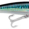 Rapala X-Rap Saltwater