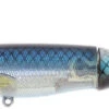 River2Sea WPL130 Whopper Plopper Lure Blue Blood 1 River2Sea WPL130 Whopper Plopper Lure Blue Blood -Fishing Master river2sea wpl130 whopper plopper lure r2s 0006 2 63665.1650842184.386.513