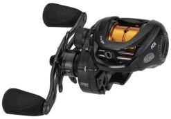 Fishing Master -Fishing Master team lews pro sp baitcasting reels 68863.1651414054