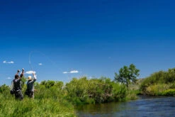 Thomas & Thomas Lotic Series Fly Rods -Fishing Master thomas thomas lotic series fly rods 25489.1651330459