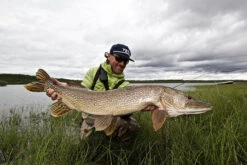 Thomas & Thomas Exocett Predator Fly Rod - 9 Ft. 4 In. - 45 Grain 9 Thomas & Thomas Exocett Predator Fly Rod - 9 Ft. 4 In. - 45 Grain -Fishing Master thomas thomas predator 94450 4 exocett predator fly rod 49198.1651330451