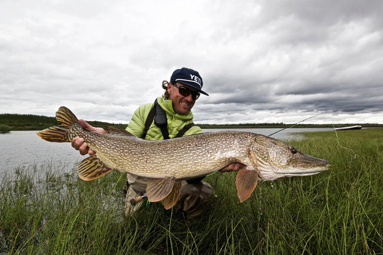 Thomas & Thomas Exocett Predator Fly Rod - 9 Ft. 4 In. - 45 Grain 6 Thomas & Thomas Exocett Predator Fly Rod - 9 Ft. 4 In. - 45 Grain - Image 4