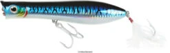 Tsunami XD Talkin Popper Lures -Fishing Master tsunami xd talkin popper lures 05981.1651332736