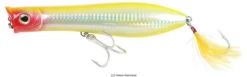 Tsunami XD Talkin Popper Lures -Fishing Master tsunami xd talkin popper lures 28612.1651332736