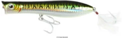 Tsunami XD Talkin Popper Lures -Fishing Master tsunami xd talkin popper lures 31722.1651332736