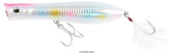 Tsunami XD Talkin Popper Lures -Fishing Master tsunami xd talkin popper lures 61340.1651332736