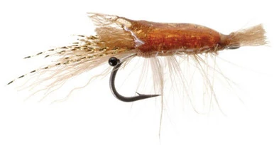 Umpqua 15611 Ultra Shrimp Popovic 3 Umpqua 15611 Ultra Shrimp Popovic
