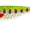 Westin ShadTeez Lure - 6-1/4in - Lively Roach